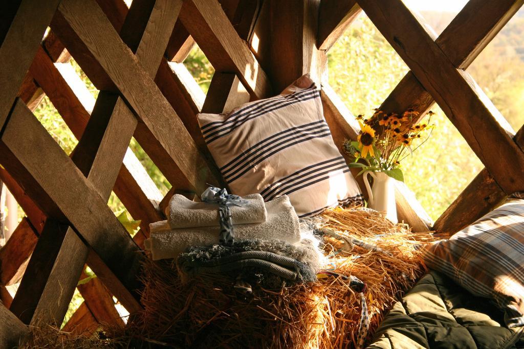 Dvor Guesthouse Novak מראה חיצוני תמונה